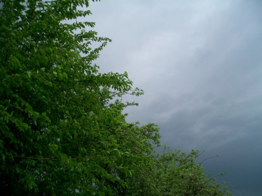 46367 (a): :2048x1536